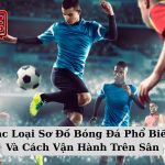 Các Loại Sơ Đồ Bóng Đá Phổ Biến Và Cách Vận Hành Trên Sân
