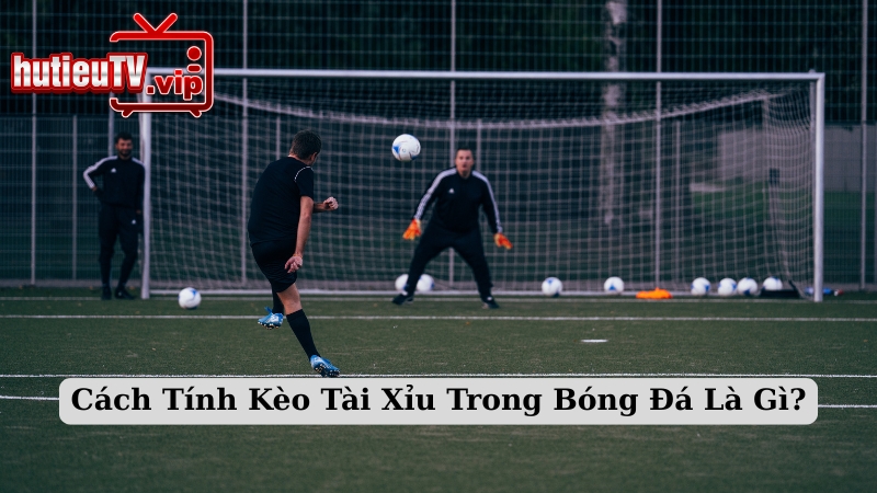 Cách Tính Kèo Tài Xỉu Trong Bóng Đá Là Gì?