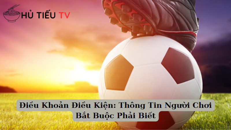 Điều Khoản Điều Kiện: Thông Tin Người Chơi Bắt Buộc Phải Biết