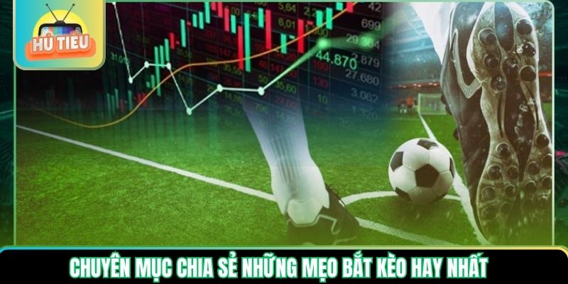 Chuyên mục chia sẻ những mẹo bắt kèo hay nhất