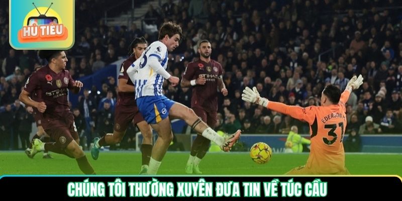 Chúng tôi thường xuyên đưa tin về túc cầu Chúng tôi thường xuyên đưa tin về túc cầu